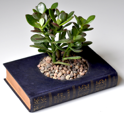 upcycled book planter